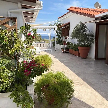 Sea View Roof Garden