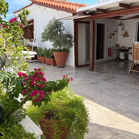 Sea View Roof Garden